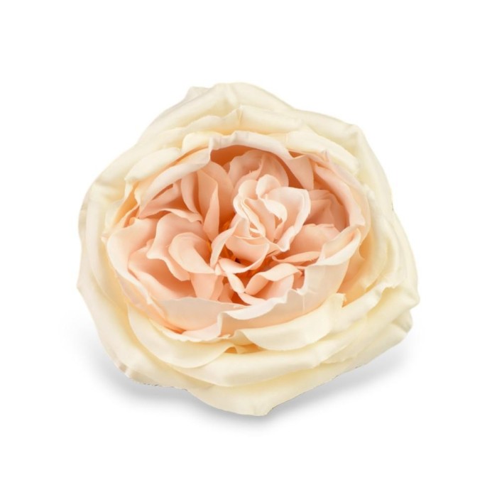 PICK ROSA CABBAGE SAND